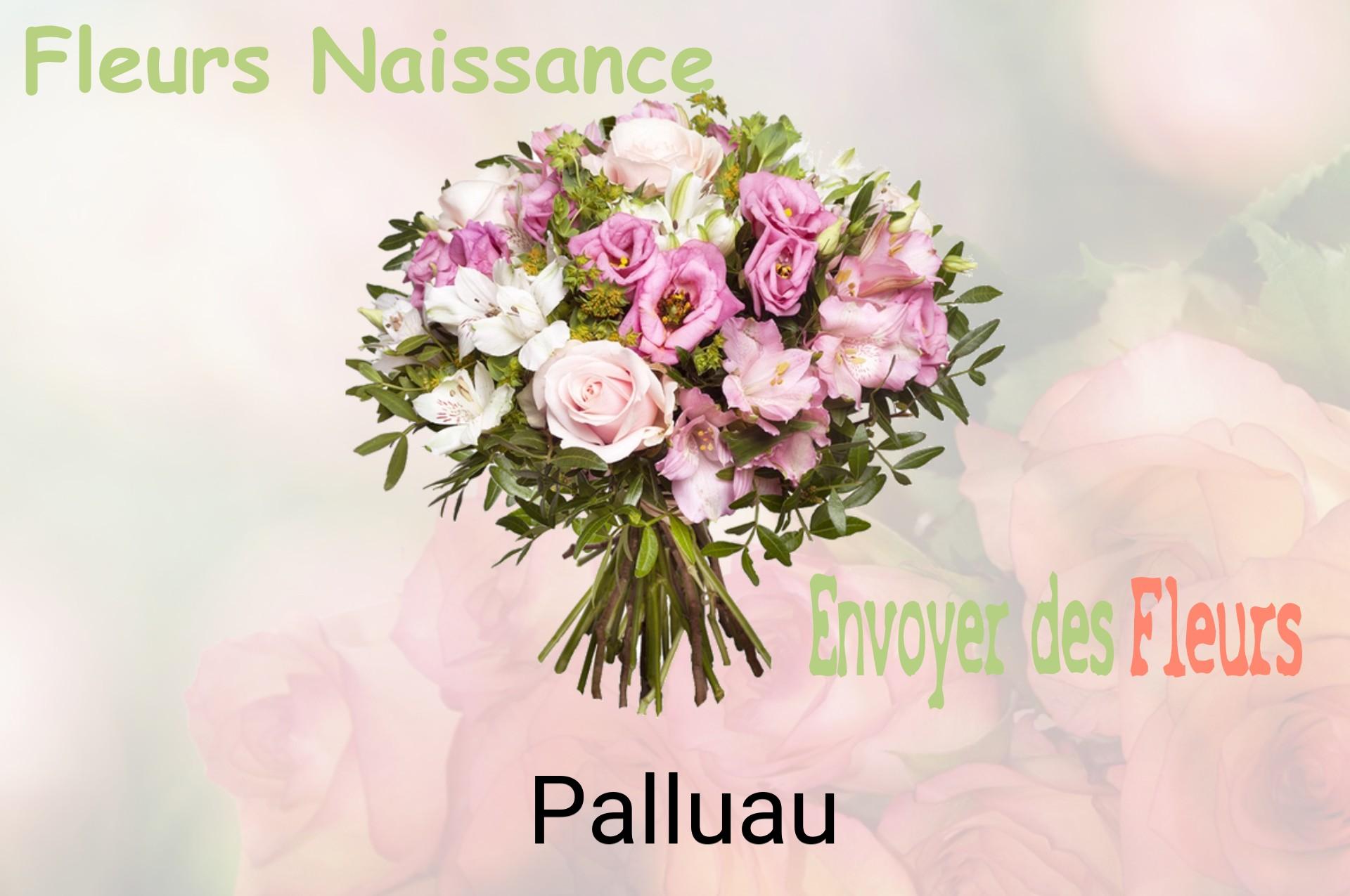 Bouquet de fleurs de naissance livré à Palluau