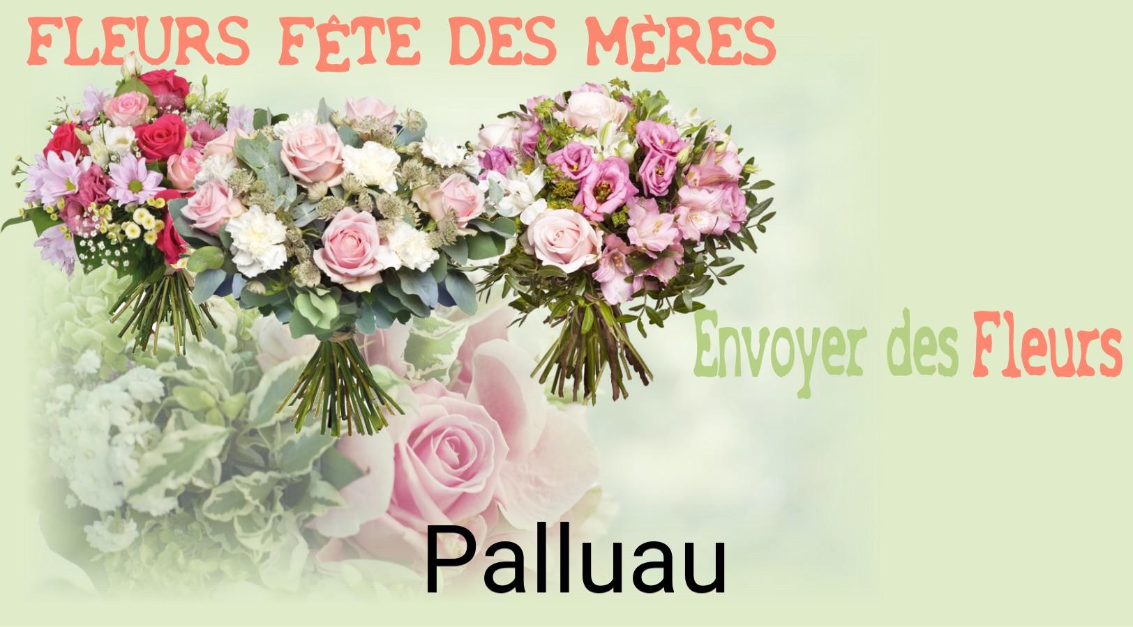 Bouquet de Fête des Mères livré à Palluau